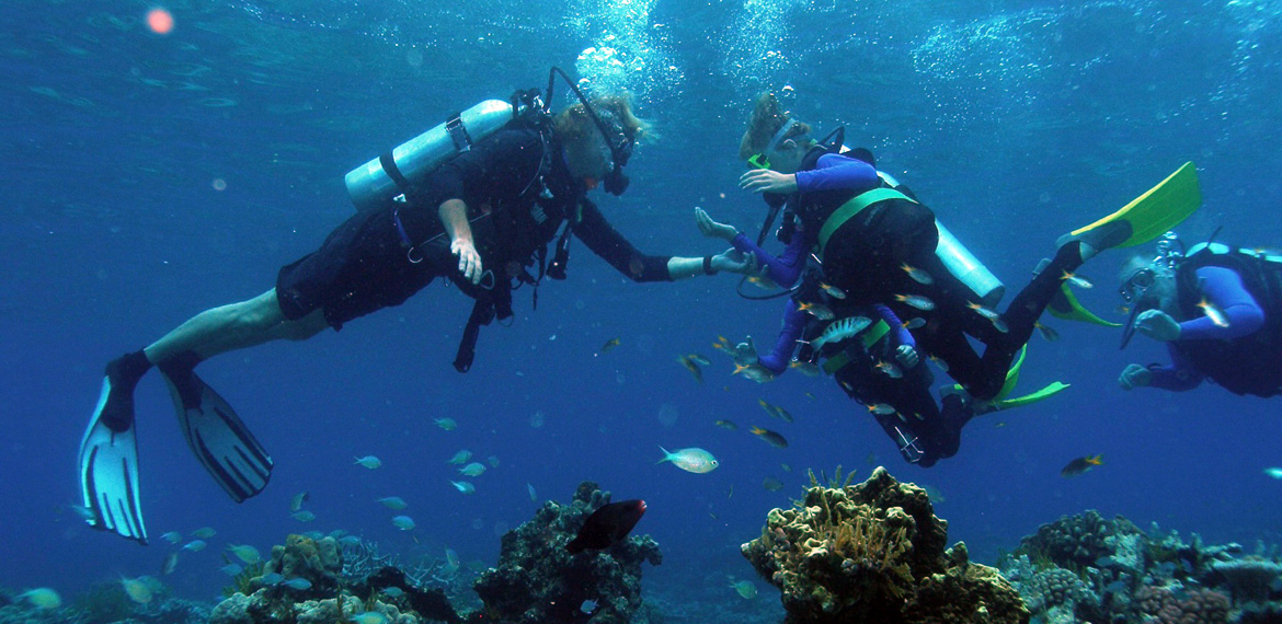 Scuba Diving Argolida